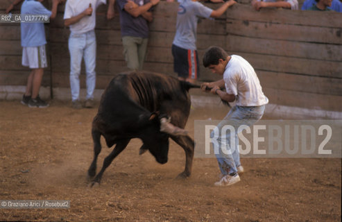PORTOGALLO, (ALENTEJO) CORRIDA DI VILLAGGIO     @ 2002 Graziano Arici/Rosebud2  / GEO