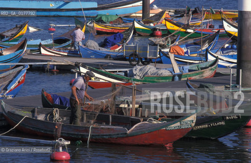 PORTOGALLO, (LE BEIRAS) RIA DE AVEIRO : BARCHE DA PESCA     @ 2002 Graziano Arici/Rosebud2  / GEO