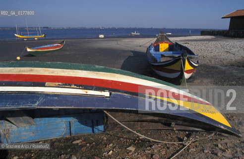 PORTOGALLO, (LE BEIRAS) RIA DE AVEIRO : BARCHE DA PESCA     @ 2002 Graziano Arici/Rosebud2  / GEO