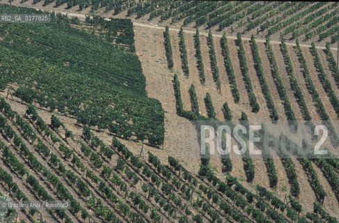 PORTOGALLO, (LE BEIRAS) PAESAGGIO     @ 2002 Graziano Arici/Rosebud2 / VIGNETO / GEO