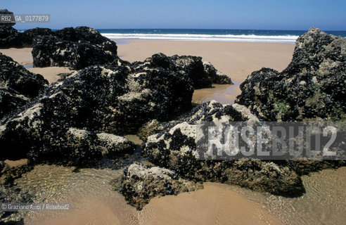 PORTOGALLO, (ALGARVE) CABO DE SAO VICENTE     @ 2002 Graziano Arici/Rosebud2 / CAPO / SPIAGGIA / GEO
