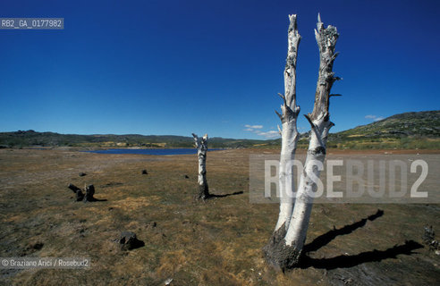 PORTOGALLO, (TRAS-OS-MONTES) PARQUE NATURAL DE MONTESINHO    @ 2002 Graziano Arici/Rosebud2  / GEO