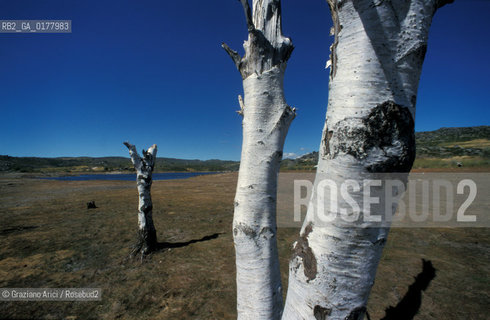 PORTOGALLO, (TRAS-OS-MONTES) PARQUE NATURAL DE MONTESINHO    @ 2002 Graziano Arici/Rosebud2  / GEO