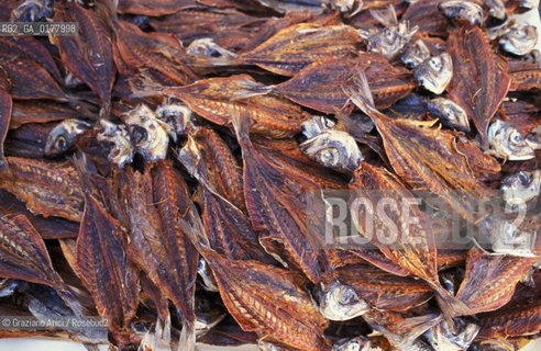 PORTOGALLO, (RIBETEJO) NAZARE : PESCE SECCO    @ 2002 Graziano Arici/Rosebud2 / GASTRONOMIA / GEO
