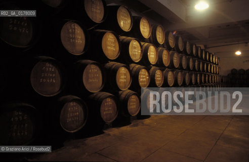 PORTOGALLO, (DOURO) PORTO :UNA CANTINA DI VINO PORTO    @ 2002 Graziano Arici/Rosebud2  / GEO