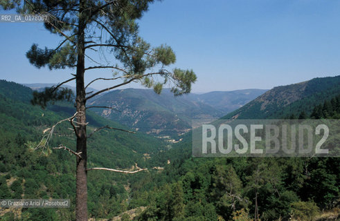 PORTOGALLO, (LE BEIRAS) PARCO NAZIONALE SERRA DE ESTRELA   @ 2002 Graziano Arici/Rosebud2  / GEO