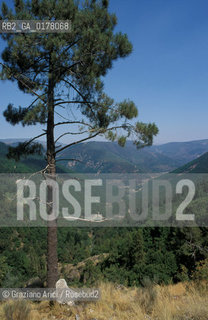 PORTOGALLO, (LE BEIRAS) PARCO NAZIONALE SERRA DE ESTRELA   @ 2002 Graziano Arici/Rosebud2  / GEO