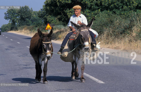 PORTOGALLO, (TRAS-OS-MONTES) CONTADINO CON MULO   @ 2002 Graziano Arici/Rosebud2  / GEO