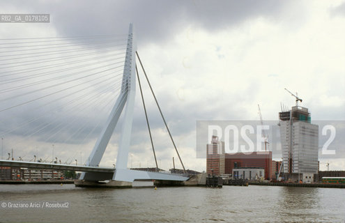OLANDA , ROTTERDAM : IL PONTE ERASMUS SUL FIUME MOSA  -  © 2002 Graziano Arici/Rosebud2 / GEO