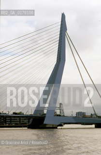 OLANDA , ROTTERDAM : IL PONTE ERASMUS SUL FIUME MOSA  -  © 2002 Graziano Arici/Rosebud2 / GEO
