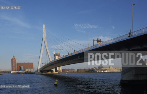 OLANDA , ROTTERDAM : IL PONTE ERASMUS SUL FIUME MOSA  -  © 2002 Graziano Arici/Rosebud2 / GEO