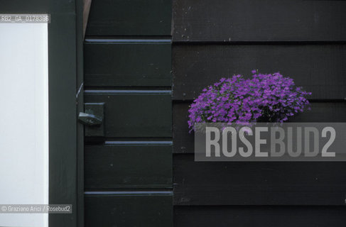 OLANDA , (NOORD-HOLLAND) MARKEN : CASA   -  © 2002 Graziano Arici/Rosebud2 / GEO / FIORE / VIOLA