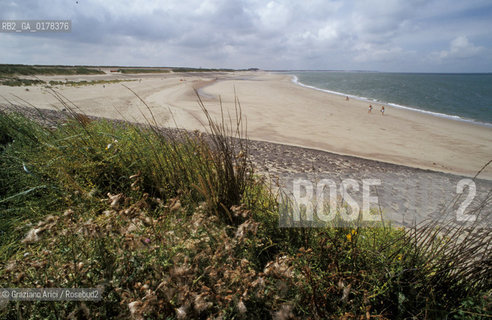 OLANDA , (ZEELAND) DIGA SULLOOSTERSCHELDE  :  -  © 2002 Graziano Arici/Rosebud2 / GEO / SPIAGGIA