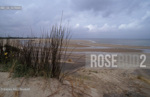 OLANDA , ISOLE FRISONE : SPIAGGIA  -  © 2002 Graziano Arici/Rosebud2 / GEO