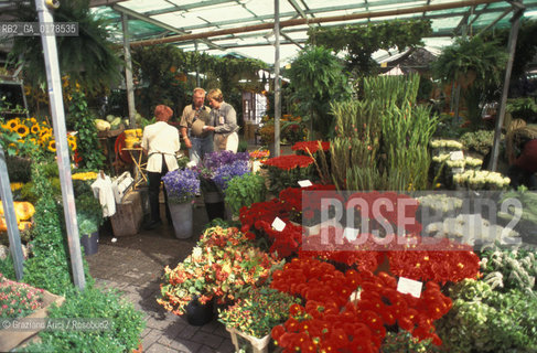 OLANDA , AMSTERDAM  : IL MERCATO DEI FIORI   -  © 2002 Graziano Arici/Rosebud2 /  / GEO