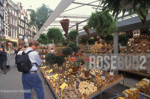 OLANDA , AMSTERDAM  : IL MERCATO DEI FIORI   -  © 2002 Graziano Arici/Rosebud2  / GEO