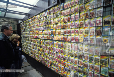 OLANDA , AMSTERDAM : MERCATO DEI FIORI  -  © 2002 Graziano Arici/Rosebud2 / GEO /