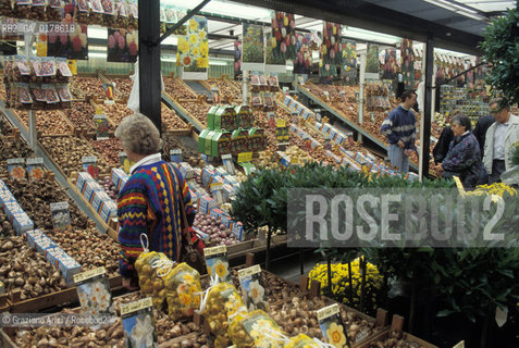 OLANDA , AMSTERDAM : MERCATO DEI FIORI  -  © 2002 Graziano Arici/Rosebud2 / GEO /