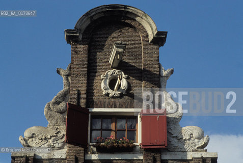 OLANDA , AMSTERDAM : CASA  -  © 2002 Graziano Arici/Rosebud2 / GEO / PESCE
