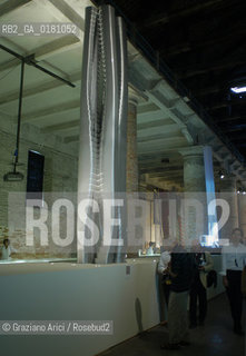 NEXT  VENICE BIENNALE 8. INTERNATIONAL ARCHITECTURE EXHIBITION - CORDERIE DELLARSENALE - CITY OF TOWERS : ZAHA HADID  - ©Graziano Arici/Rosebud2 - ARCHITETTURA