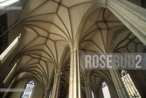 GERMANIA (TURINGIA) ERFURT : DUOMO - VOLTE GOTICHE  - © 1994 Graziano Arici/Rosebud2 / GEO