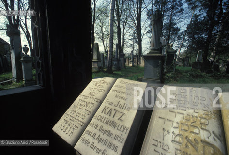 GERMANIA ( SASSONIA ) GOERLITZ : LANTICO CIMITERO EBRAICO    © 1994 Graziano Arici/Rosebud2 / GEO / EBREI