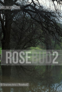 GERMANIA (TURINGIA) WEIMAR  :PARK AN DER LIM   - © 1994 Graziano Arici/Rosebud2 / GEO / LETTERATURA