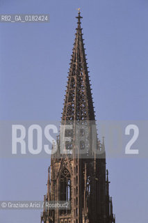GERMANIA ( BADEN-WURTTEMBERB ) FRIBURGO ( FREIBURG IM BREISGAU ) : LA CATTEDRALE    - © 1996 Graziano Arici/Rosebud2 / GEO / GOTICO