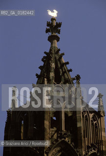 GERMANIA ( BADEN-WURTTEMBERB ) FRIBURGO ( FREIBURG IM BREISGAU ) : CUSPIDE DELLA CATTEDRALE    - © 1996 Graziano Arici/Rosebud2 / GEO / GOTICO