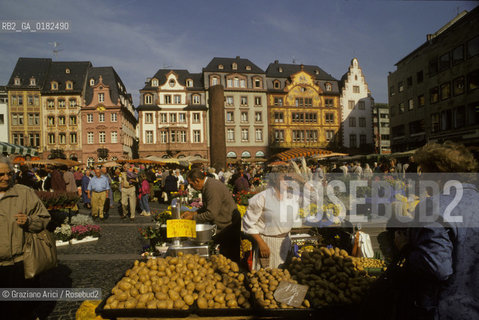 GERMANIA ( RENANIA-PALATINATO ) MAGONZA ( MAINZ ) :  LA MARKTPLATZ   - © 1996 Graziano Arici/Rosebud2 / GEO