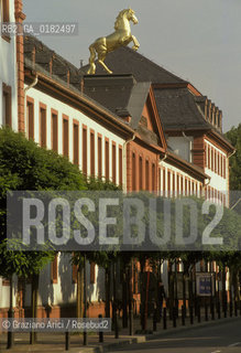 GERMANIA ( RENANIA-PALATINATO ) MAGONZA ( MAINZ ) :  LALTERTUMMUSEUM   - © 1996 Graziano Arici/Rosebud2 / GEO / MUSEO.