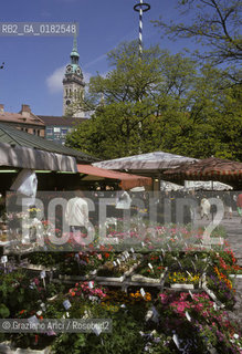 GERMANIA ( BAVIERA ) MONACO :  MERCATO AL VIKTUALENMARKT   - © 1996 Graziano Arici/Rosebud2 / GEO