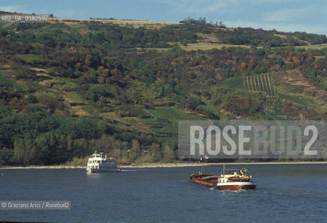 GERMANIA ( PALATINATO ) BACHARACH :  IL FIUME RENO     - © 1996 Graziano Arici/Rosebud2 / GEO / RENO