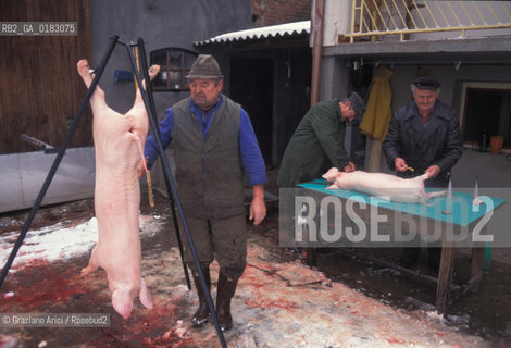 ( CROAZIA ) SLAVONIA : IL PAESE DI MINORANZA ITALIANA DI VELIKI BANOVAC  ( BANOVAC MAGGIORE ) - © 1995 Graziano Arici/Rosebud2 / GEO / LINGUA / MAIALE / GASTRONOMIA