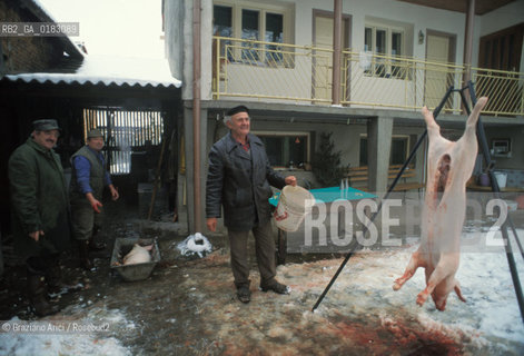 ( CROAZIA ) SLAVONIA : IL PAESE DI MINORANZA ITALIANA DI VELIKI BANOVAC  ( BANOVAC MAGGIORE ) - © 1995 Graziano Arici/Rosebud2 / GEO / LINGUA / MAIALE / GASTRONOMIA