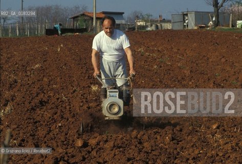 ( CROAZIA  ) ISTRIA -  ARATURA DI UN CAMPO   - © 2001 Graziano Arici/Rosebud2 / GEO / LINGUA / MINORANZA / ROSSO.