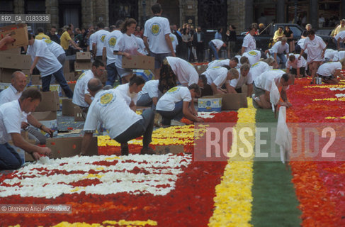 ( BELGIO ) BRUXELLES ( BRUSSEL ) : PREPARAZIONE DEL TAPPETO DI FIORI SULLA GRAND-PLACE   - © 2001 Graziano Arici/Rosebud2 / GEO