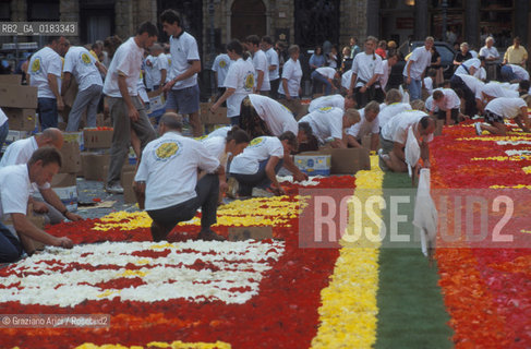 ( BELGIO ) BRUXELLES ( BRUSSEL ) : PREPARAZIONE DEL TAPPETO DI FIORI SULLA GRAND-PLACE   - © 2001 Graziano Arici/Rosebud2 / GEO