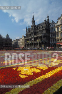 ( BELGIO ) BRUXELLES ( BRUSSEL ) : TAPPETO DI FIORI SULLA GRAND-PLACE   - © 2001 Graziano Arici/Rosebud2 / GEO