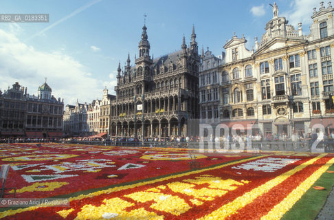 ( BELGIO ) BRUXELLES ( BRUSSEL ) : TAPPETO DI FIORI SULLA GRAND-PLACE   - © 2001 Graziano Arici/Rosebud2 / GEO