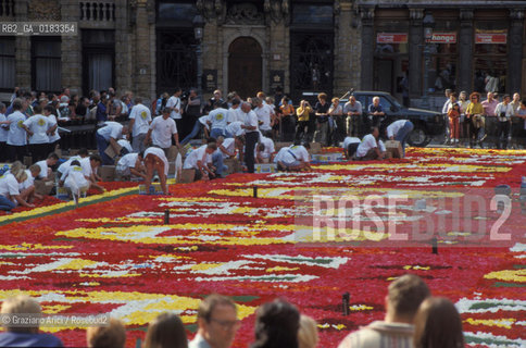 ( BELGIO ) BRUXELLES ( BRUSSEL ) : PREPARAZIONE DEL TAPPETO DI FIORI SULLA GRAND-PLACE   - © 2001 Graziano Arici/Rosebud2 / GEO