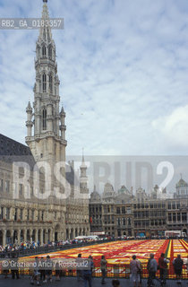 ( BELGIO ) BRUXELLES ( BRUSSEL ) : TAPPETO DI FIORI SULLA GRAND-PLACE   - © 2001 Graziano Arici/Rosebud2 / GEO
