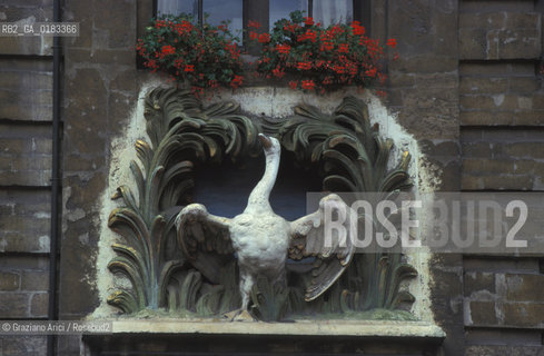 ( BELGIO ) BRUXELLES ( BRUSSEL ) : PALAZZI SULLA GRAND-PLACE - MAISON DES BOUCHERS   - © 2001 Graziano Arici/Rosebud2 / GEO / CIGNO