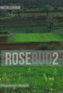 ( SLOVENIA  ) ISTRIA -  CAMPI - © 2001 Graziano Arici/Rosebud2 / GEO / LINGUA / MINORANZA