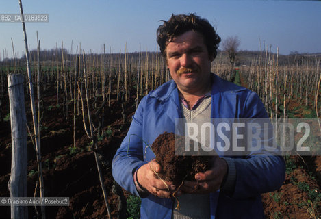 ( SLOVENIA  ) ISTRIA -  CONTADINO  - © 2001 Graziano Arici/Rosebud2 / GEO / LINGUA / MINORANZA / AGRICOLTURA