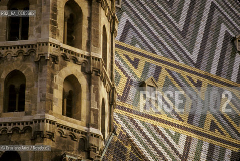 ( AUSTRIA ) VIENNA ( WIEN ) : TETTO DEL  DUOMO DI S.STEFANO  - © 2001 Graziano Arici/Rosebud2 / GEO