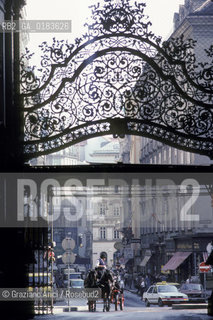 ( AUSTRIA ) VIENNA ( WIEN ) :  INGRESSO DEL PALAZZO DELLHOFBURG   - © 2001 Graziano Arici/Rosebud2 / GEO
