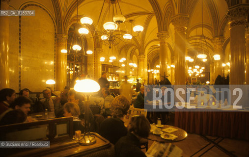 ( AUSTRIA ) VIENNA ( WIEN ) : IL CAFFE CENTRAL   - © 2001 Graziano Arici/Rosebud2 / GEO /  GASTRONOMIA