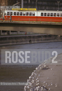 ( AUSTRIA ) VIENNA ( WIEN ) : IL TRAM SUL IL FIUME DANUBIO  - © 2001 Graziano Arici/Rosebud2 / GEO
