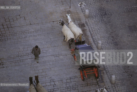 ( AUSTRIA ) VIENNA ( WIEN ) : CAROZZA E CAVALLI   - © 2001 Graziano Arici/Rosebud2 / GEO